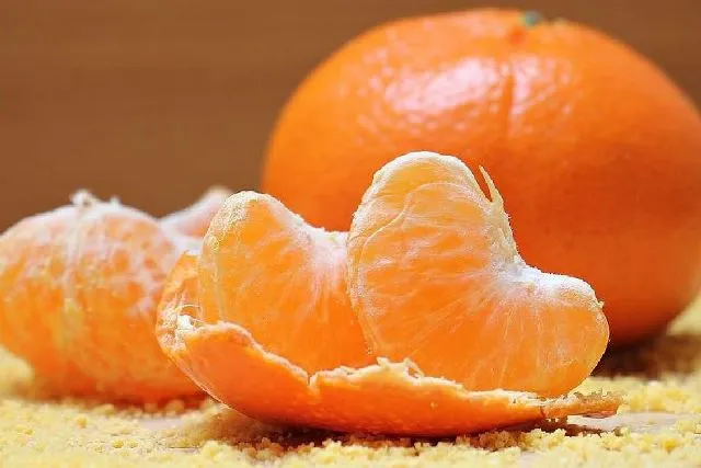 Trái cây họ cam quýt giàu vitamin C có thể giúp kiểm soát vi khuẩn